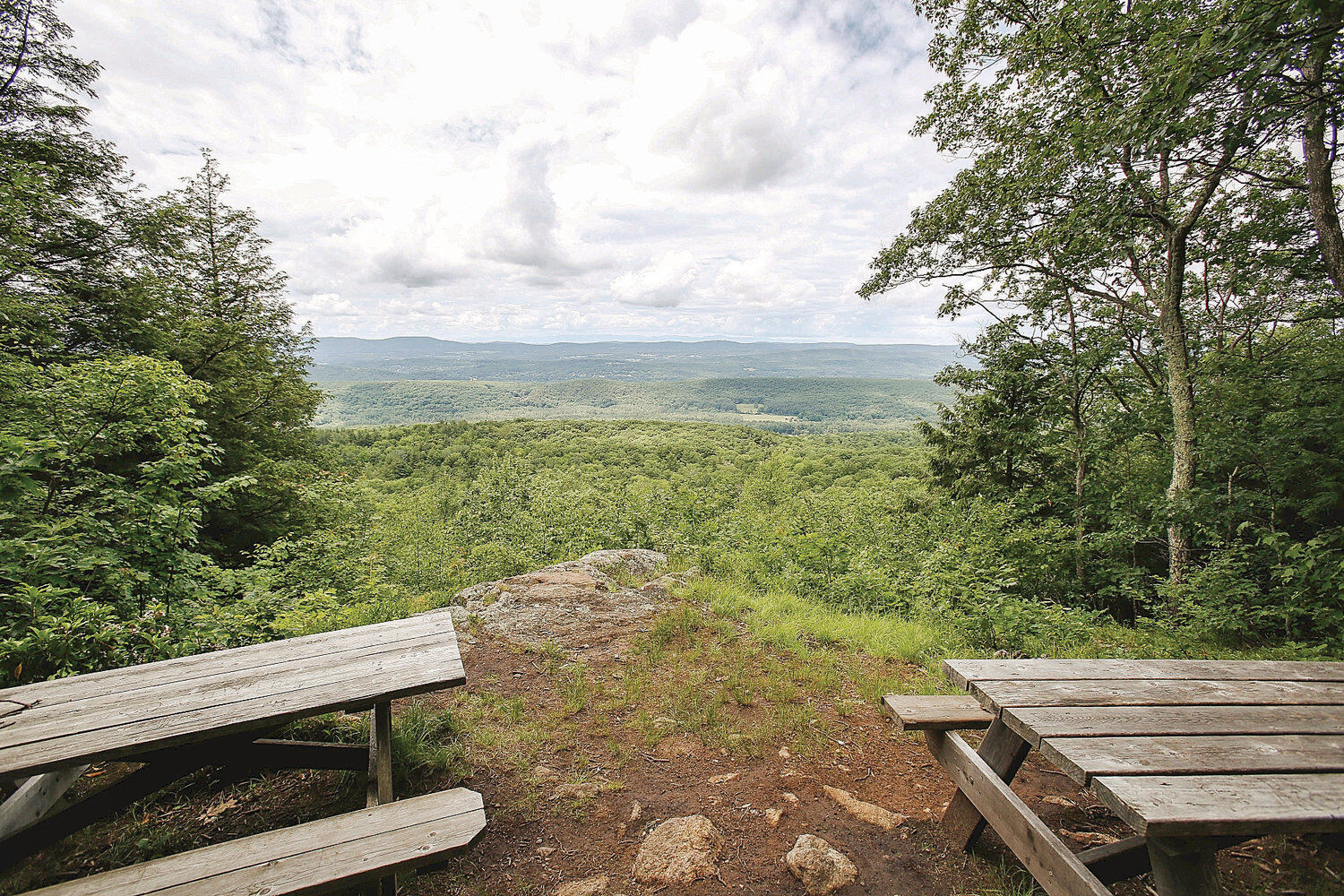 Beartown State Forest